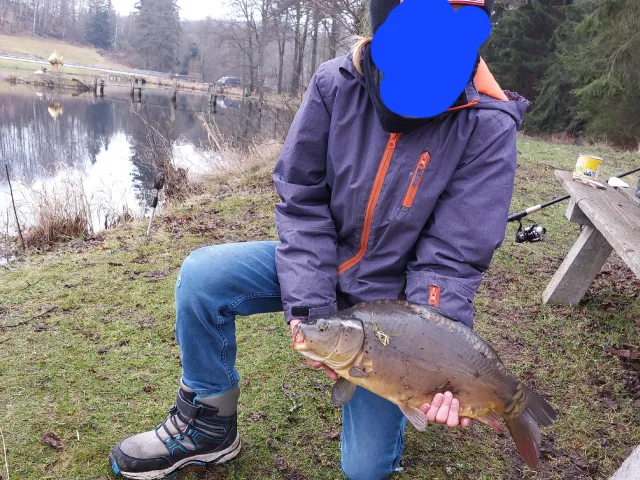 Karpfen