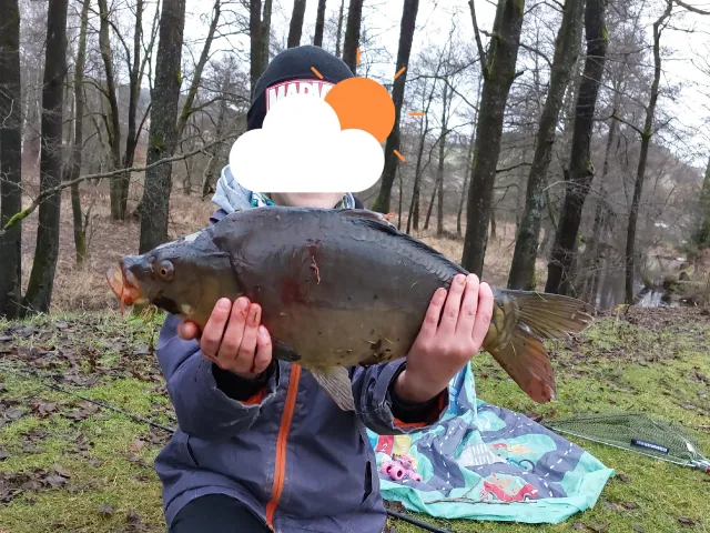 Karpfen