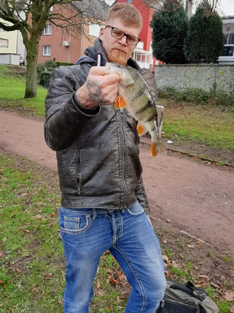 Flussbarsch
