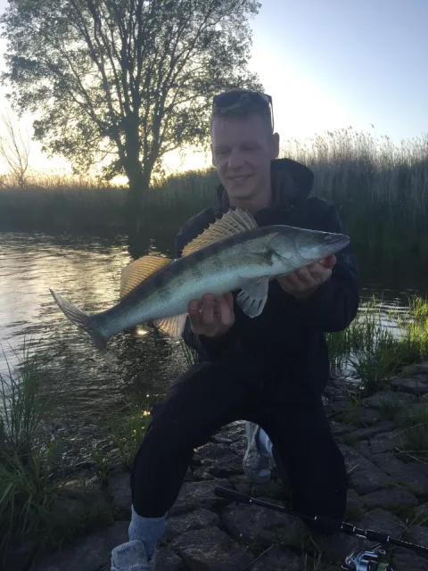 Zander