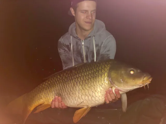 Karpfen