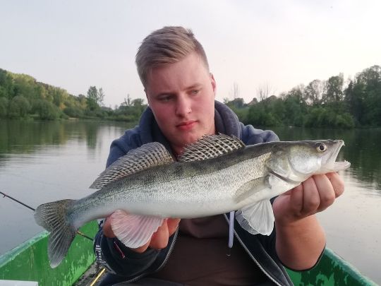Zander-1