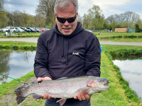 Regenbogenforelle