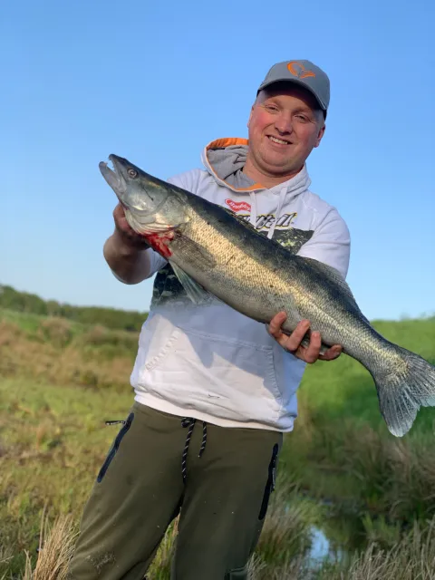 Zander