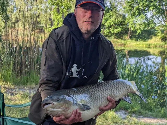 Graskarpfen