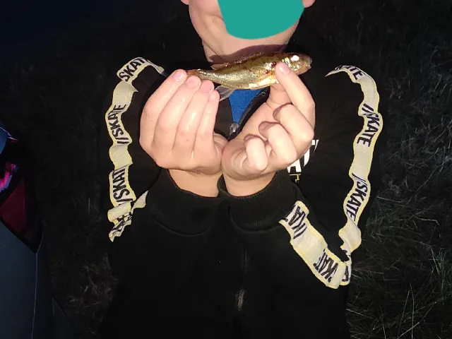 Kaulbarsch