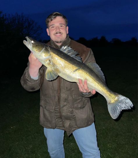 Zander