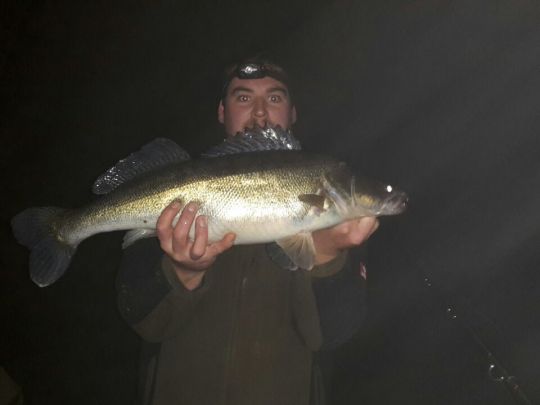 Zander