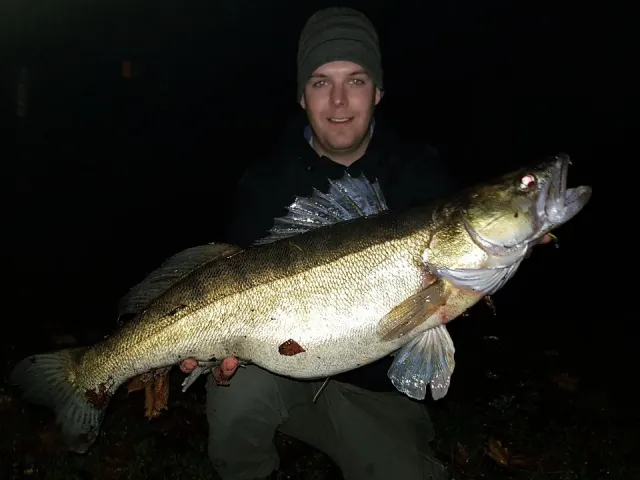 Zander