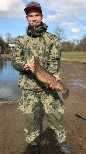Regenbogenforelle