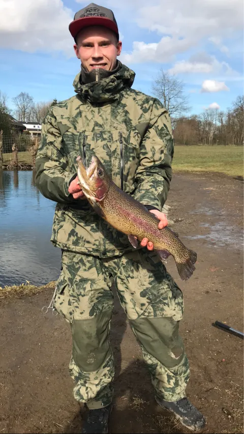 Regenbogenforelle