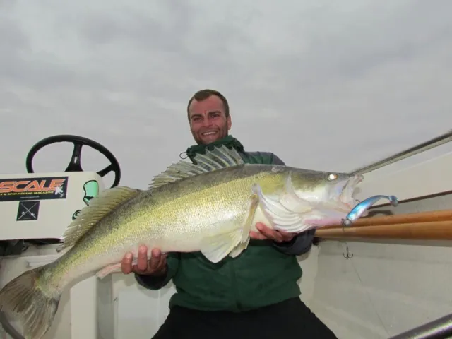 Zander