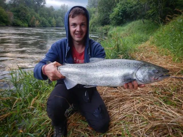 Lachs