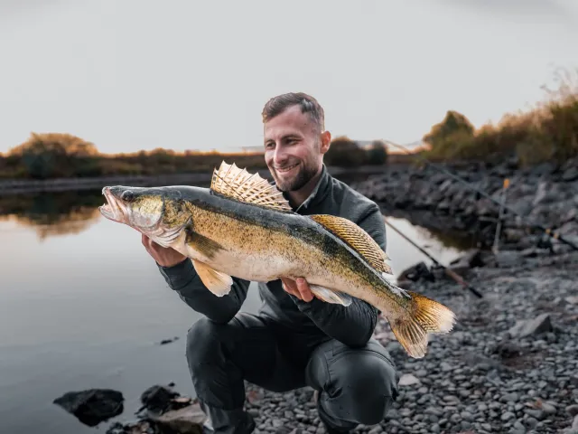 Zander
