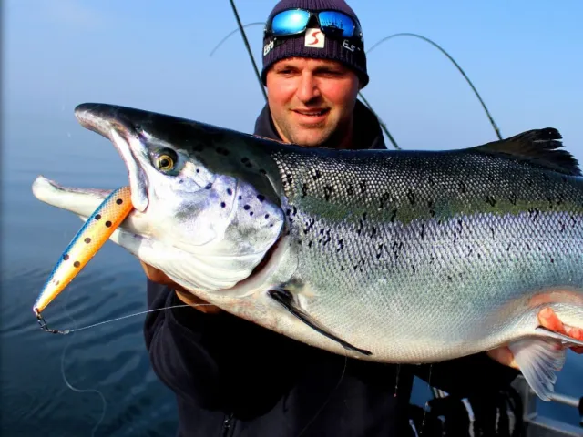Lachs