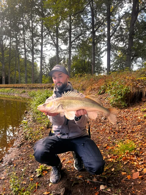 Zander