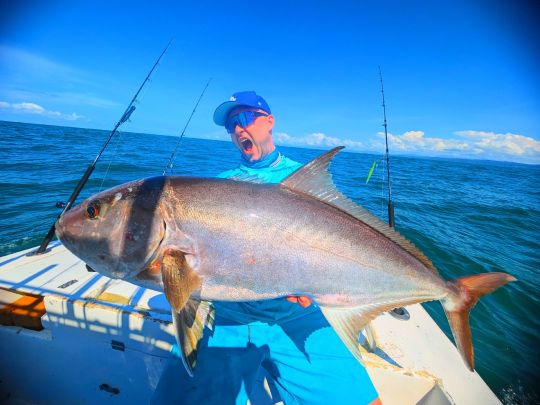 Amberjack