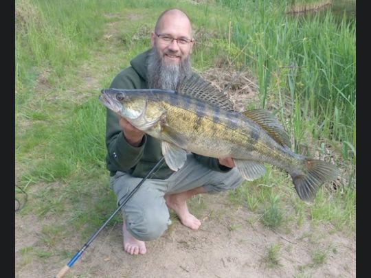 Zander