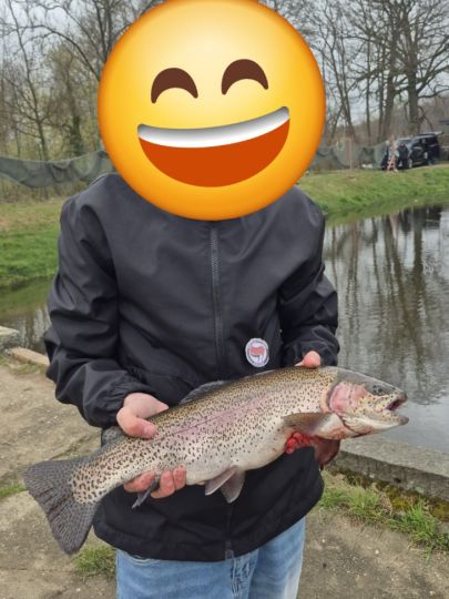 Regenbogenforelle