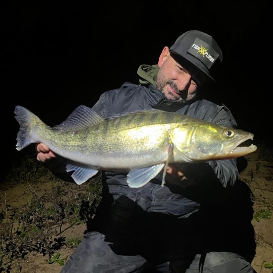 Zander