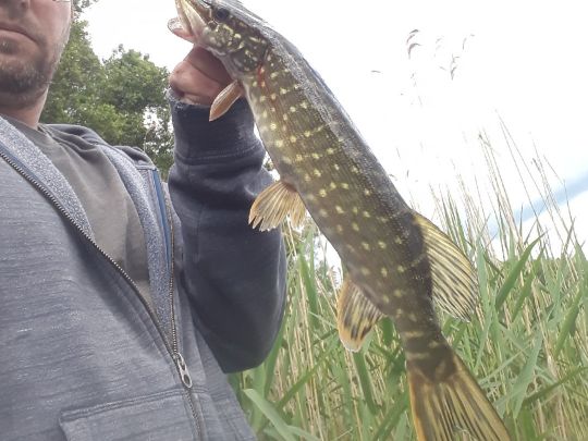 Lettinsee (Altfriedland) ALLE ANGELN