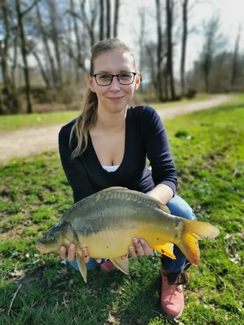 Karpfen