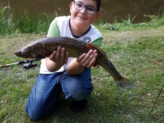Zander