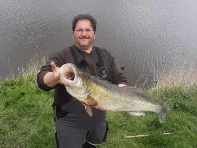 Zander