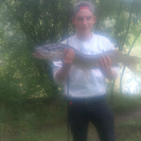 Hecht