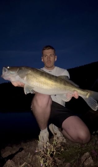 Zander