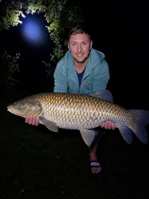 Graskarpfen
