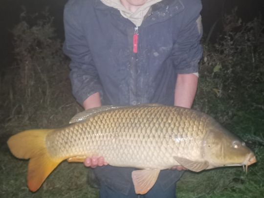 Karpfen-5