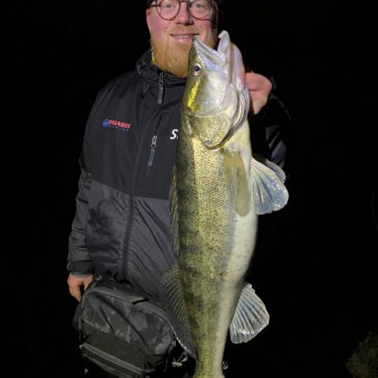Zander