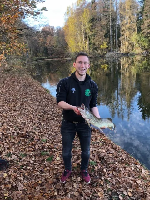 Hecht