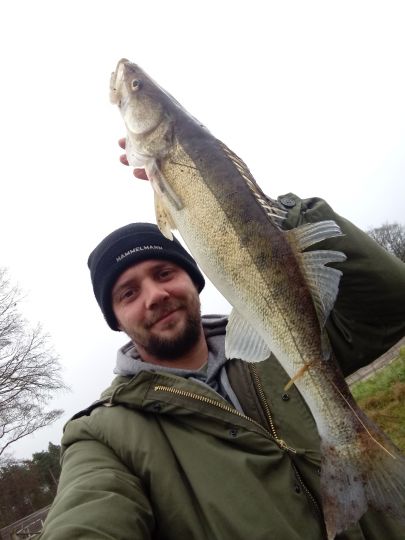 Zander