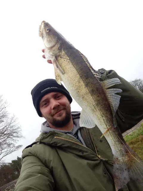 Zander