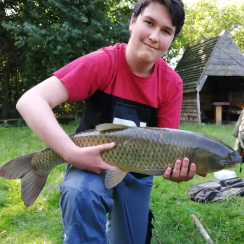Graskarpfen