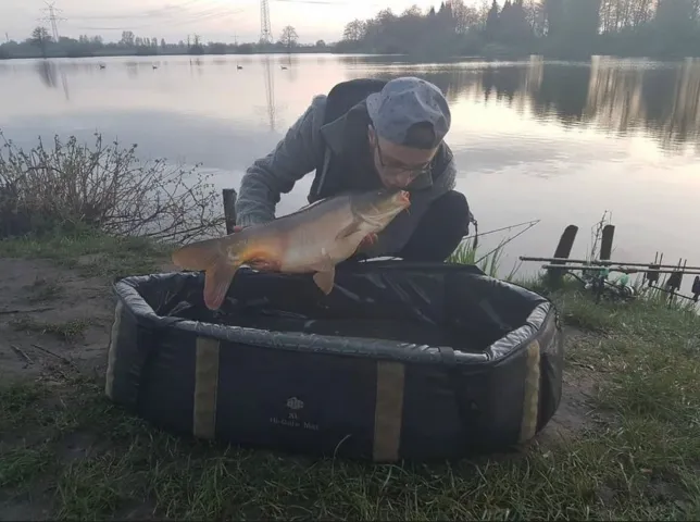 Karpfen