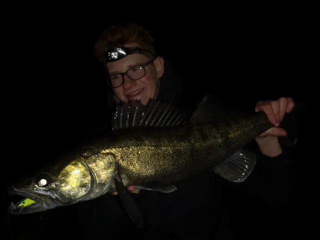 Zander