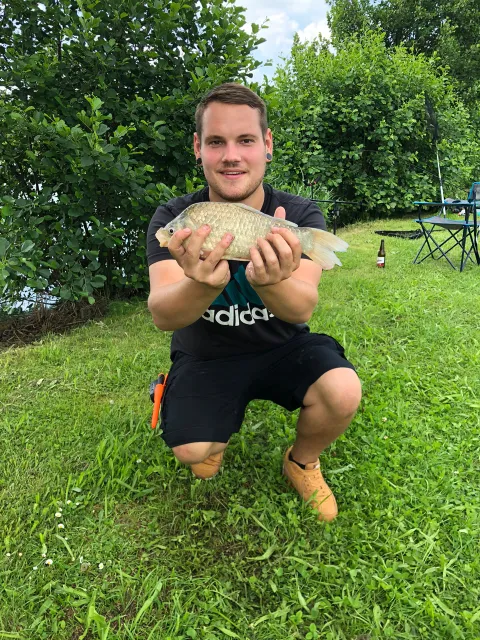 Karausche