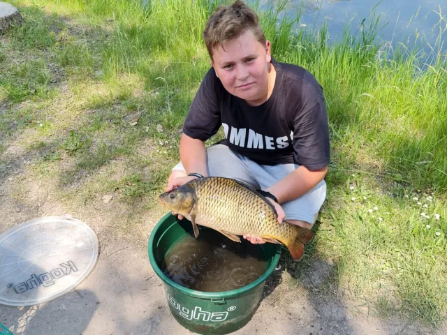 Karpfen