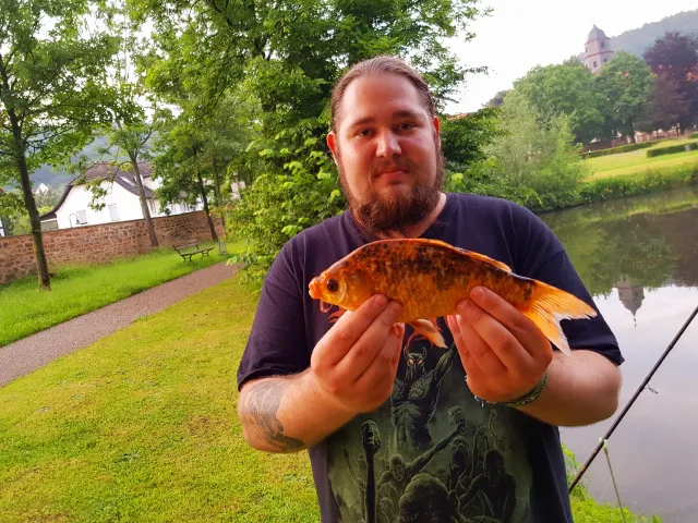 Goldfisch
