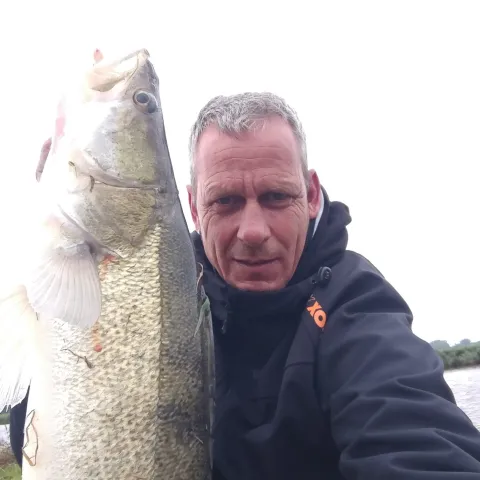 Zander