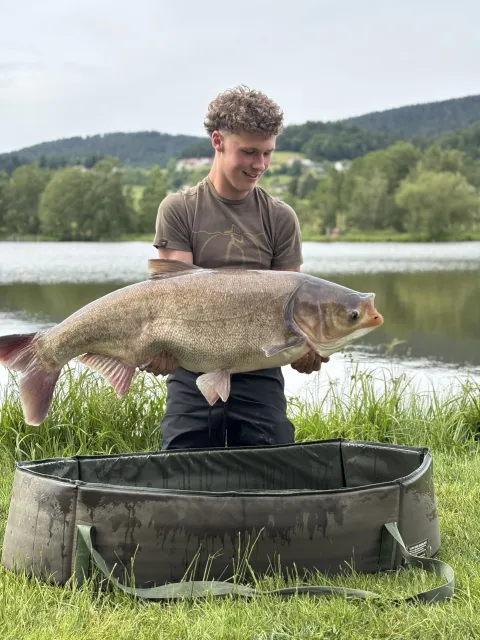 Silberkarpfen