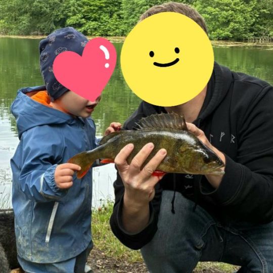 Flussbarsch