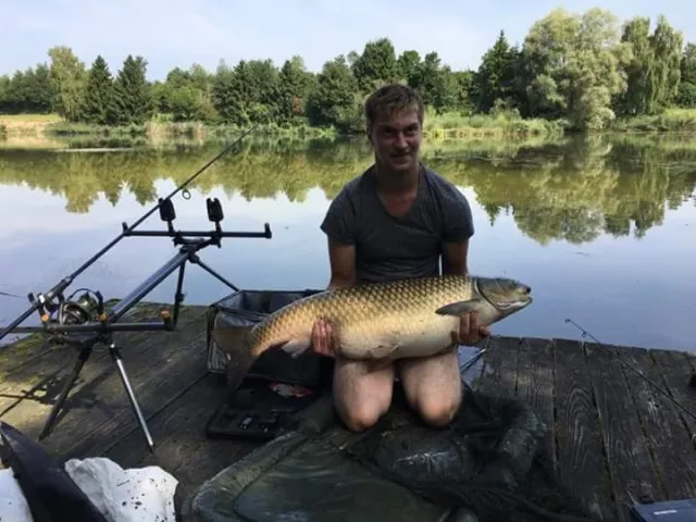 Graskarpfen