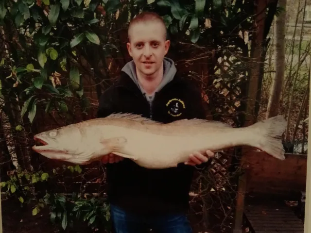 Zander