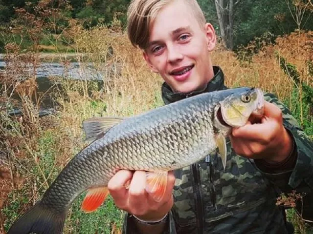 Döbel