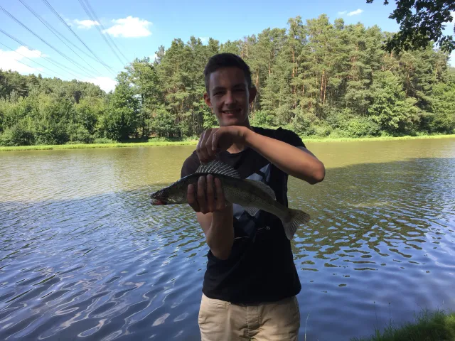 Zander