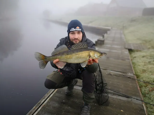 Zander